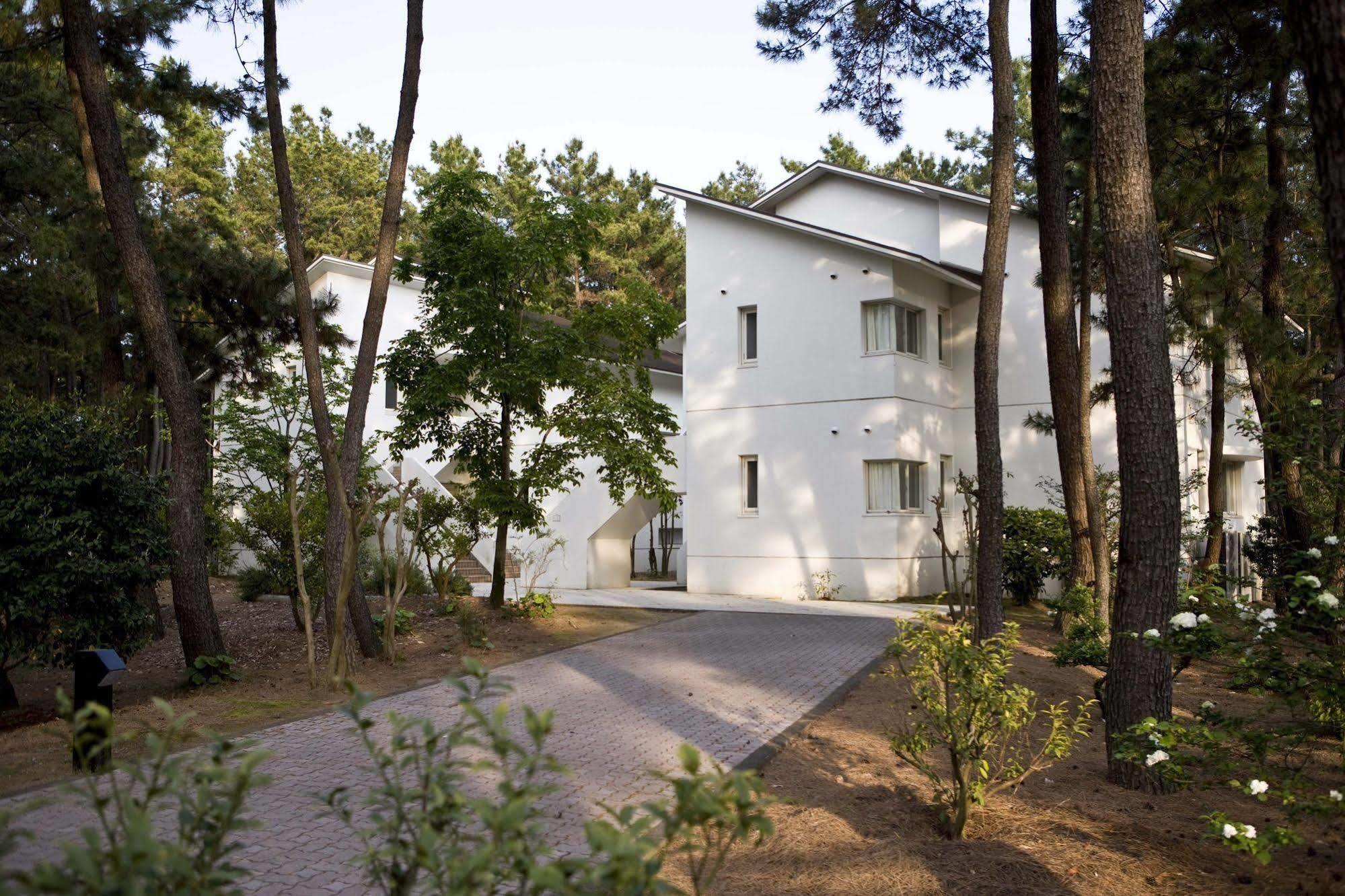 Cottage Himuka Miyazaki Extérieur photo